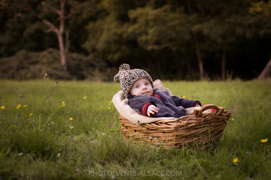 photo bébé dans les champs